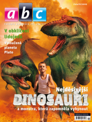 19/2009