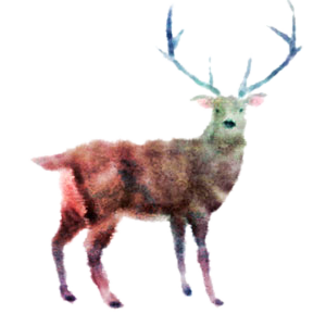 Tomuto měsíci vládne Jelen