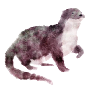 Tomuto měsíci vládne Vydra