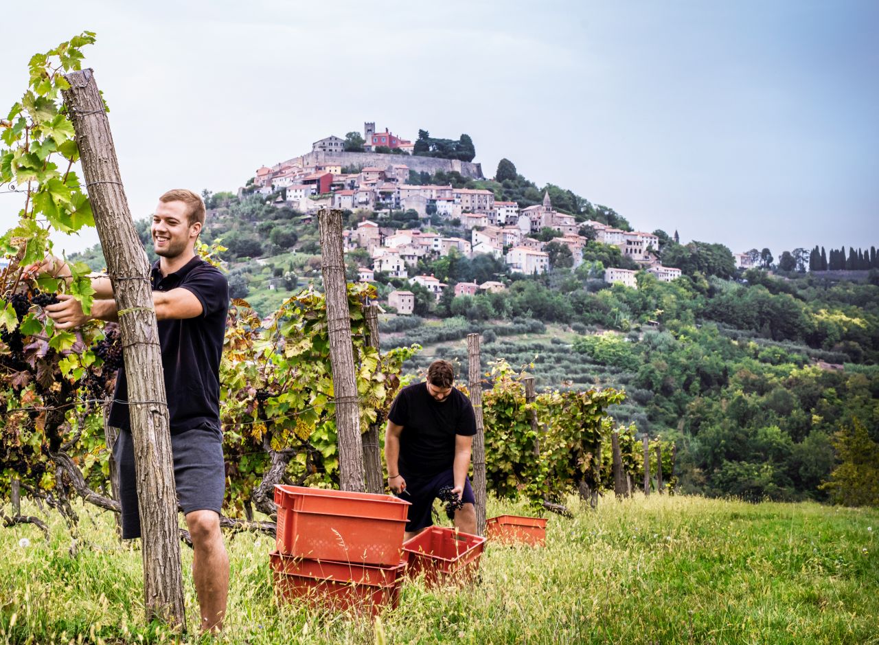 Zažijte vinobraní a lov olihní: Podzimní Chorvatsko plné překvapení