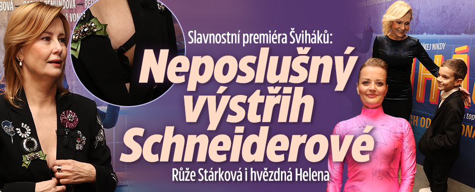 Banner ke žhavému tématu: Slavnostní premiéra Šviháků: Neposlušný ...