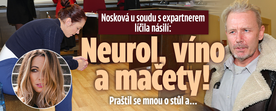 Banner ke žhavému tématu: Nosková u soudu s expartnerem: Praštil ...
