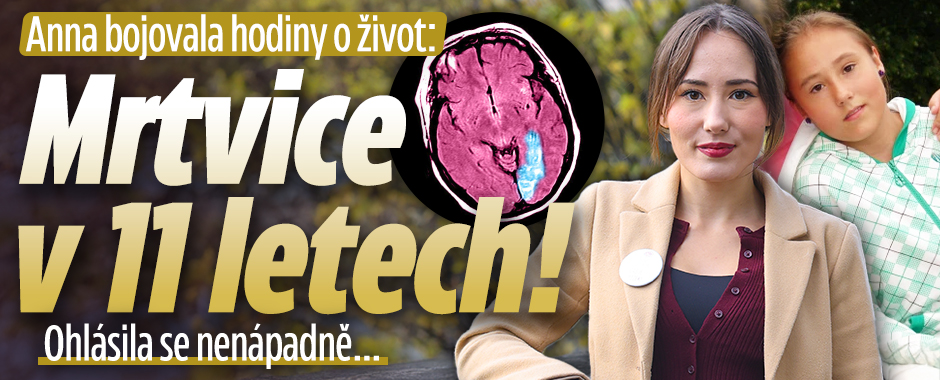 Banner ke žhavému tématu: Anna bojovala hodiny o život: Mrtvice v ...