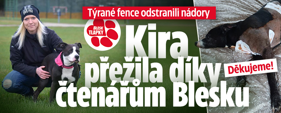 Banner ke žhavému tématu: Děkujeme, čtenáři! Díky vám jsme ...