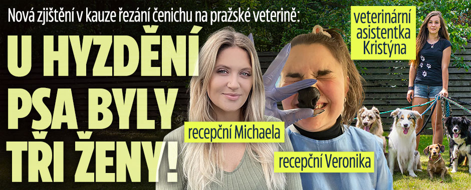Řezání čenichu na veterině: U hyzdění psa byly tři ženy!