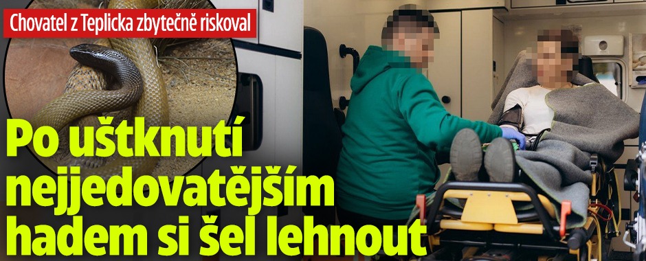 Banner ke žhavému tématu: Po uštknutí nejjedovatějším hadem si ...