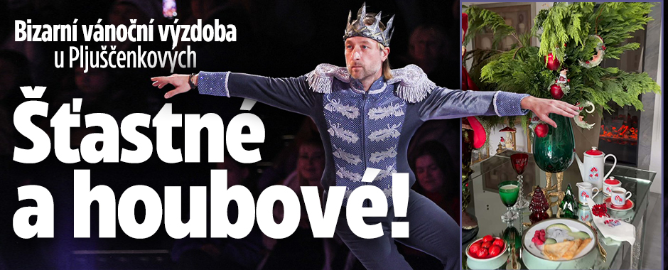 Banner ke žhavému tématu: Šťastné a houbové! Bizarní vánoční ...