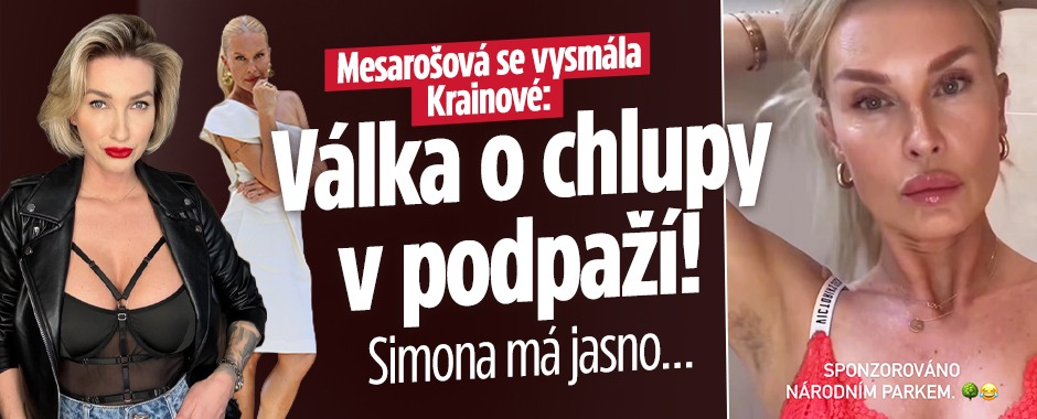 Banner ke žhavému tématu: Mesarošová se vysmála podpaží Krainové. ...