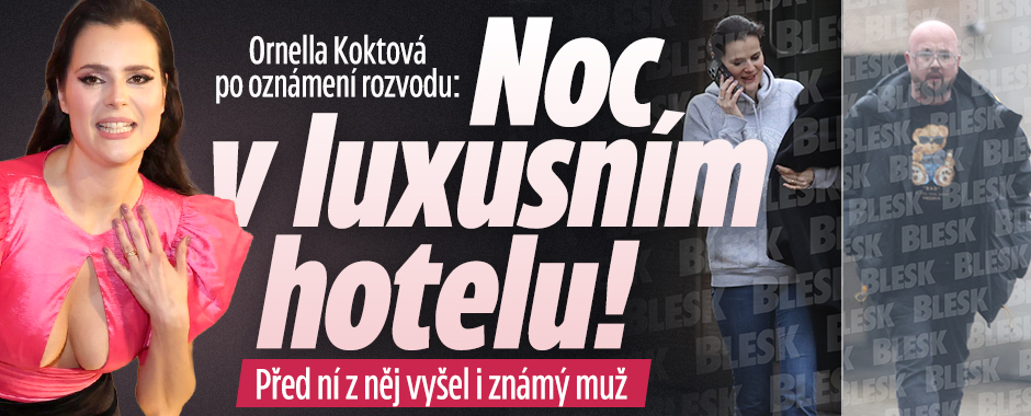 Banner ke žhavému tématu: Koktová po oznámení rozvodu: Noc v ...