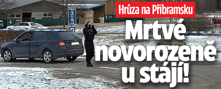 Banner ke žhavému tématu: Hrůza na Příbramsku: Na ulici leželo ...