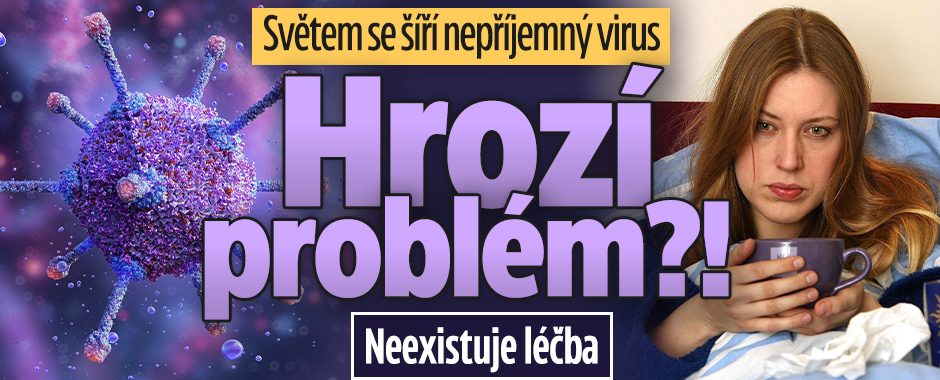 Banner ke žhavému tématu: Přibývá případů viru podobného chřipce ...