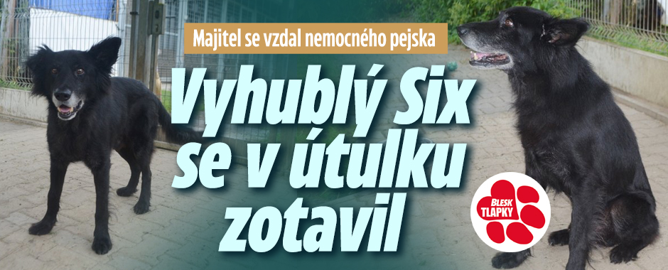 Banner ke žhavému tématu: Starouška Sixe se majitel vzdal. ...