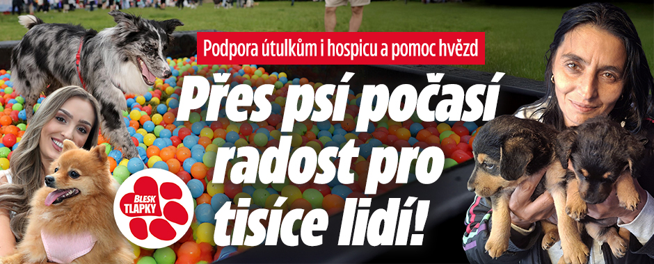 Festival Blesk tlapek: Psí den plný her a zábavy