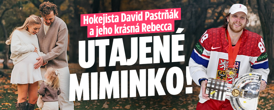 Banner ke žhavému tématu: Hokejista Pastrňák a jeho krásná ...