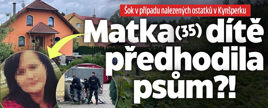 Banner ke žhavému tématu: Nález dětské ruky v Kynšperku: Dítě ...