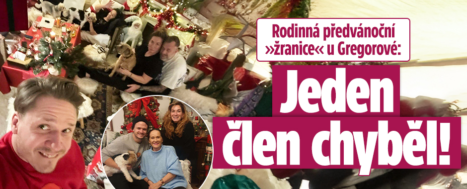 Banner ke žhavému tématu: Rodinná předvánoční »žranice« u ...