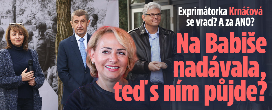 Banner ke žhavému tématu: Babiš nemá srdce! hřímala Krnáčová. Teď ...