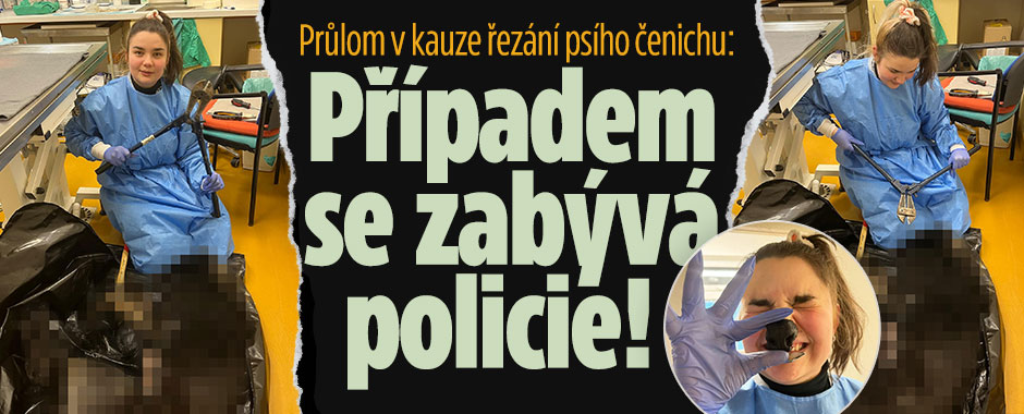 Kauzou řezání psího čenichu se už zabývá policie! 