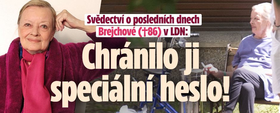 Banner ke žhavému tématu: Poslední dny Brejchové v LDN: Chránilo ...