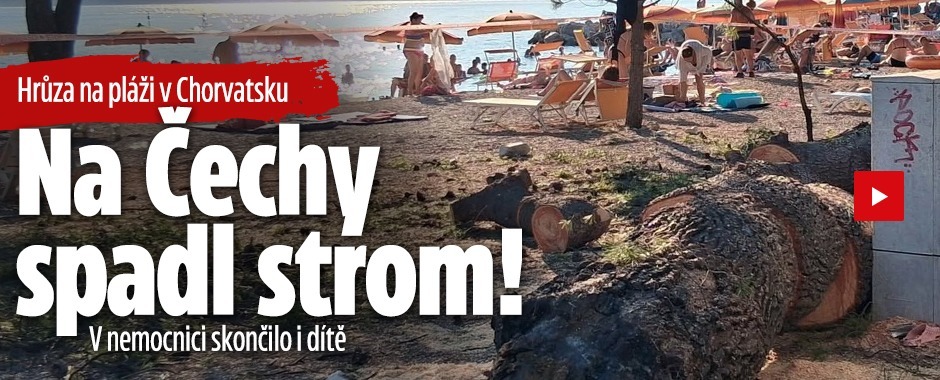 Banner ke žhavému tématu: Na Čechy v Chorvatsku spadl strom: V ...