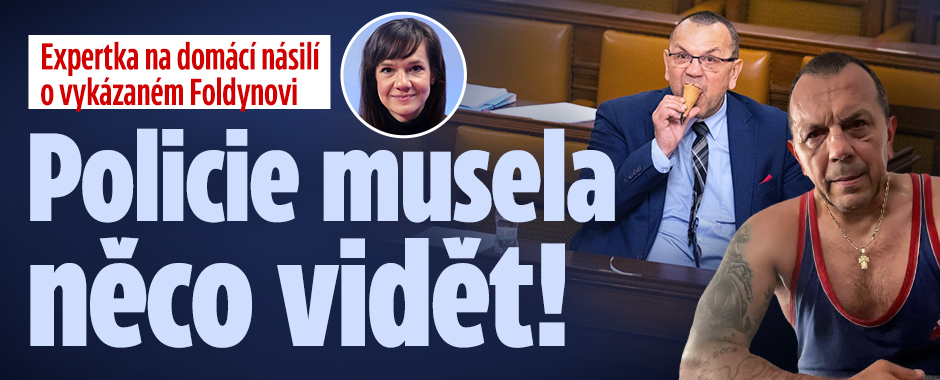Banner ke žhavému tématu: Foldyna podezřelý z domácího násilí: Co ...