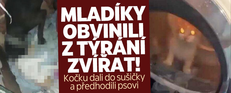 Banner ke žhavému tématu: Mladíci nacpali kočku do sušičky: ...