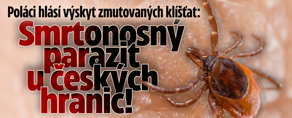 Banner ke žhavému tématu: Parazit u hranic! Poláci hlásí výskyt ...