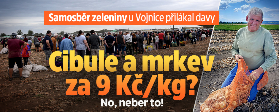 Banner ke žhavému tématu: U Vojnic začal samosběr zeleniny: ...
