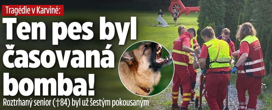 Ten pes byl riziko! Roztrhaný senior byl už šestým pokousaným!