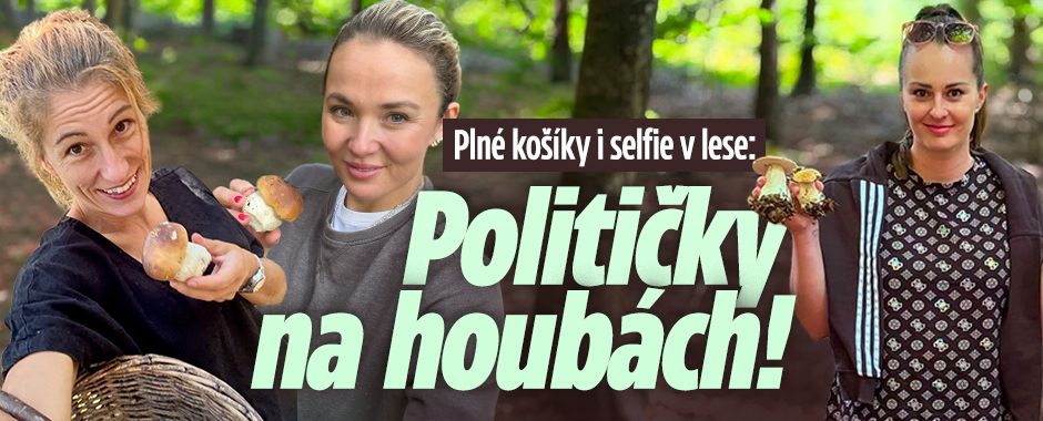 Banner ke žhavému tématu: Politici na houbách: V akci Decroix i ...