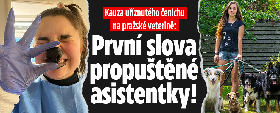 Uříznutý čumák na veterině: Propuštěná pracovnice promluvila