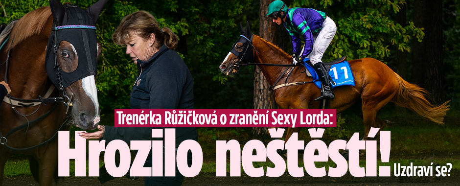 Banner ke žhavému tématu: Trenérka Růžičková o zranění Sexy ...