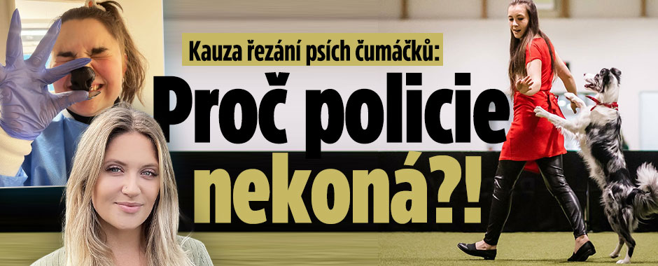 Kauza řezání psích čumáčků: Proč policie nekoná?!