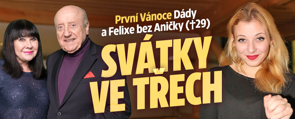Banner ke žhavému tématu: Vánoce Dády a Felixe bez Aničky: Svátky ...