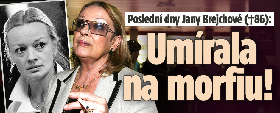 Banner ke žhavému tématu: Poslední dny Jany Brejchové (†86): ...