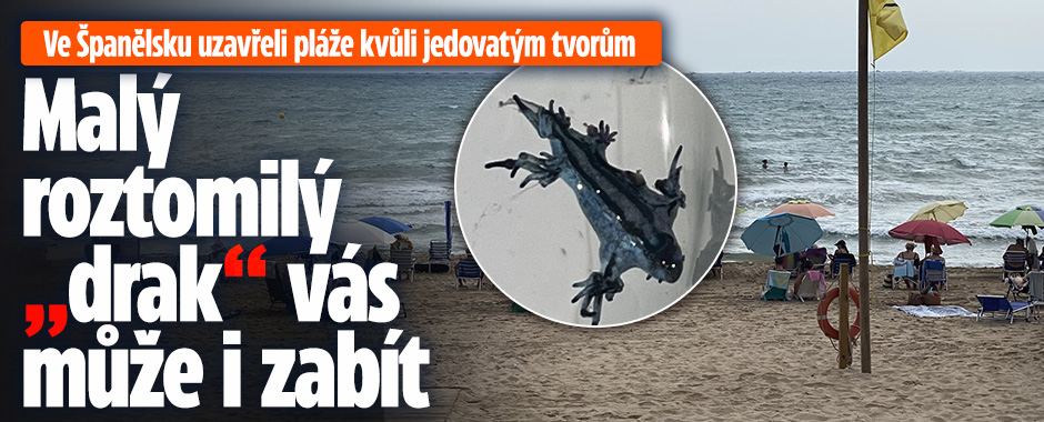 Banner ke žhavému tématu: Ve Španělsku uzavřeli pláže kvůli ...