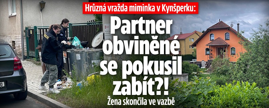 Banner ke žhavému tématu: Vražda miminka v Kynšperku: Partner se ...