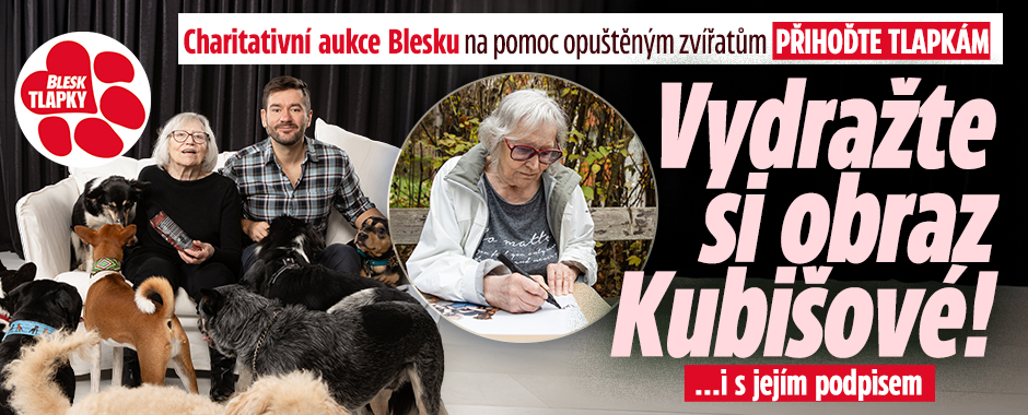 Poslední šance v aukci Blesku na pomoc opuštěným zvířatům