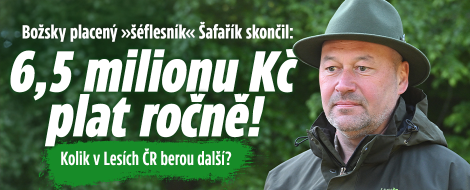 Banner ke žhavému tématu: Božsky placený »šéflesník« skončil. ...