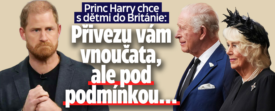 Banner ke žhavému tématu: Harry chce s dětmi do Británie: Přivezu ...