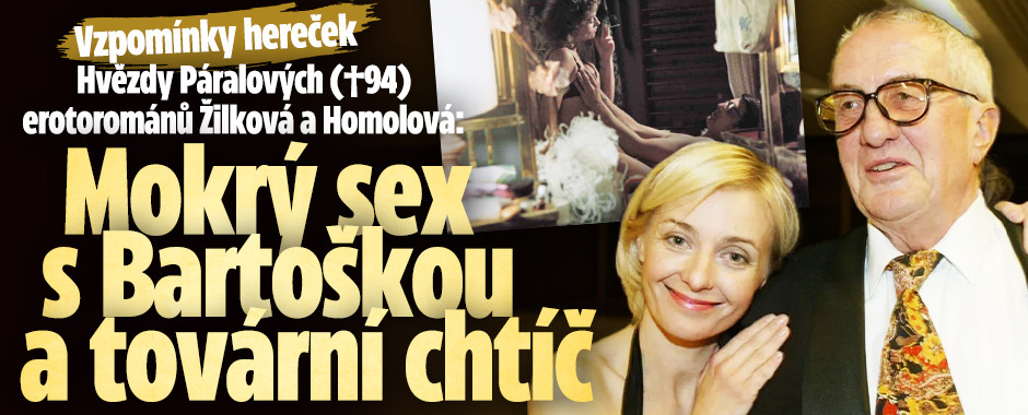 Banner ke žhavému tématu: Hvězdy Páralových (†94) erotorománů: ...