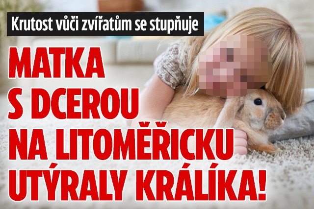 Banner ke žhavému tématu: Matka s dcerou na Litoměřicku utýraly ...