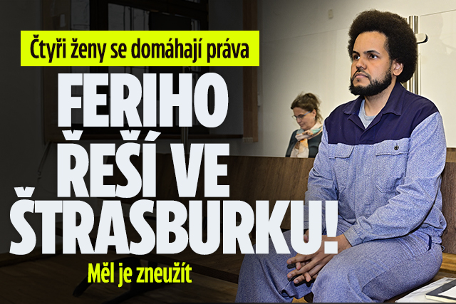 Banner ke žhavému tématu: Feriho kauza ve Štrasburku: Soud se ...