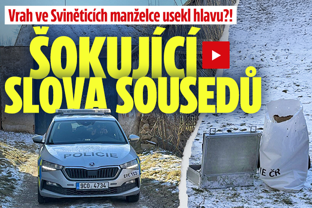 Banner ke žhavému tématu: Vrah ve Sviněticích ženě usekl hlavu? ...