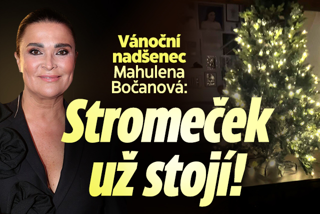 Banner ke žhavému tématu: Vánoční nadšenec Mahulena Bočanová: ...