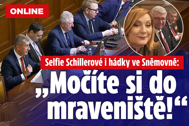 Banner ke žhavému tématu: ONLINE Selfie Schillerové i hádky ve ...