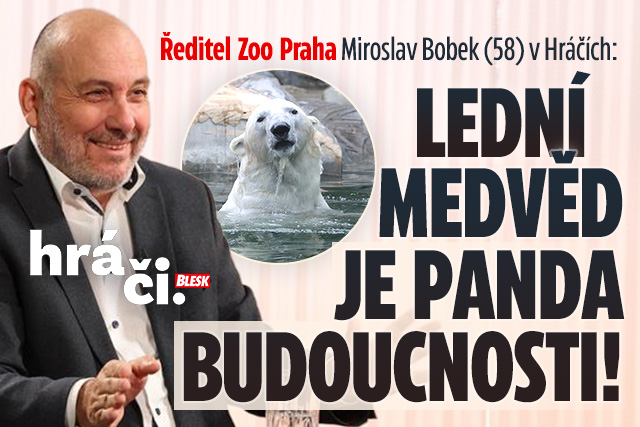 Ředitel Zoo Praha Bobek: Lední medvěd je panda budoucnosti!