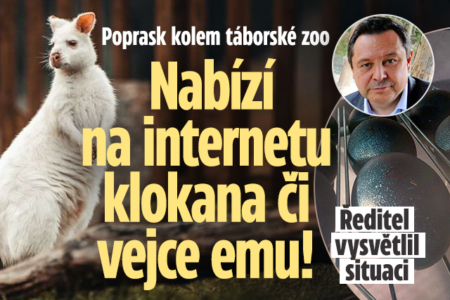 Banner ke žhavému tématu: Táborská zoo nabízí na internetu ...