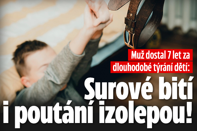 Banner ke žhavému tématu: Muž dostal 7 let: Děti bil a poutal ...
