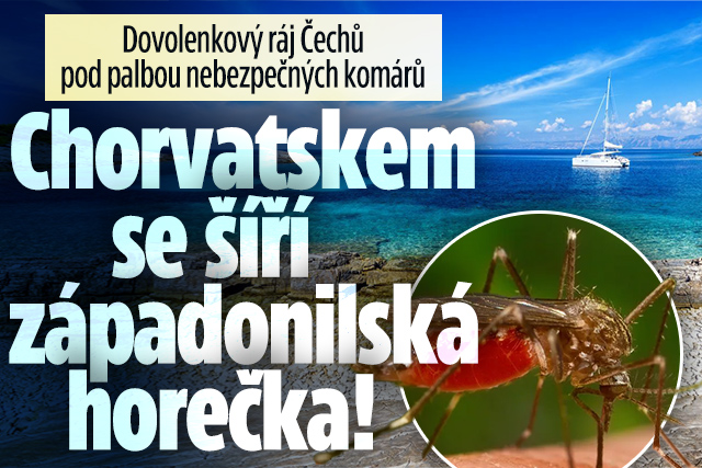 Banner ke žhavému tématu: Chorvatsko čelí hrozbě: Komáři šíří ...